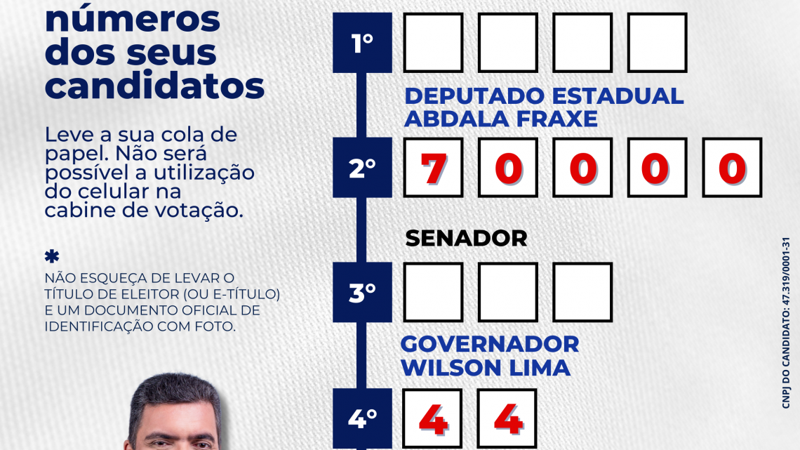 Cola eleitoral para impressão